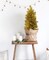 Perfect Holiday Noble Fir Pencil Christmas Tree tabletop